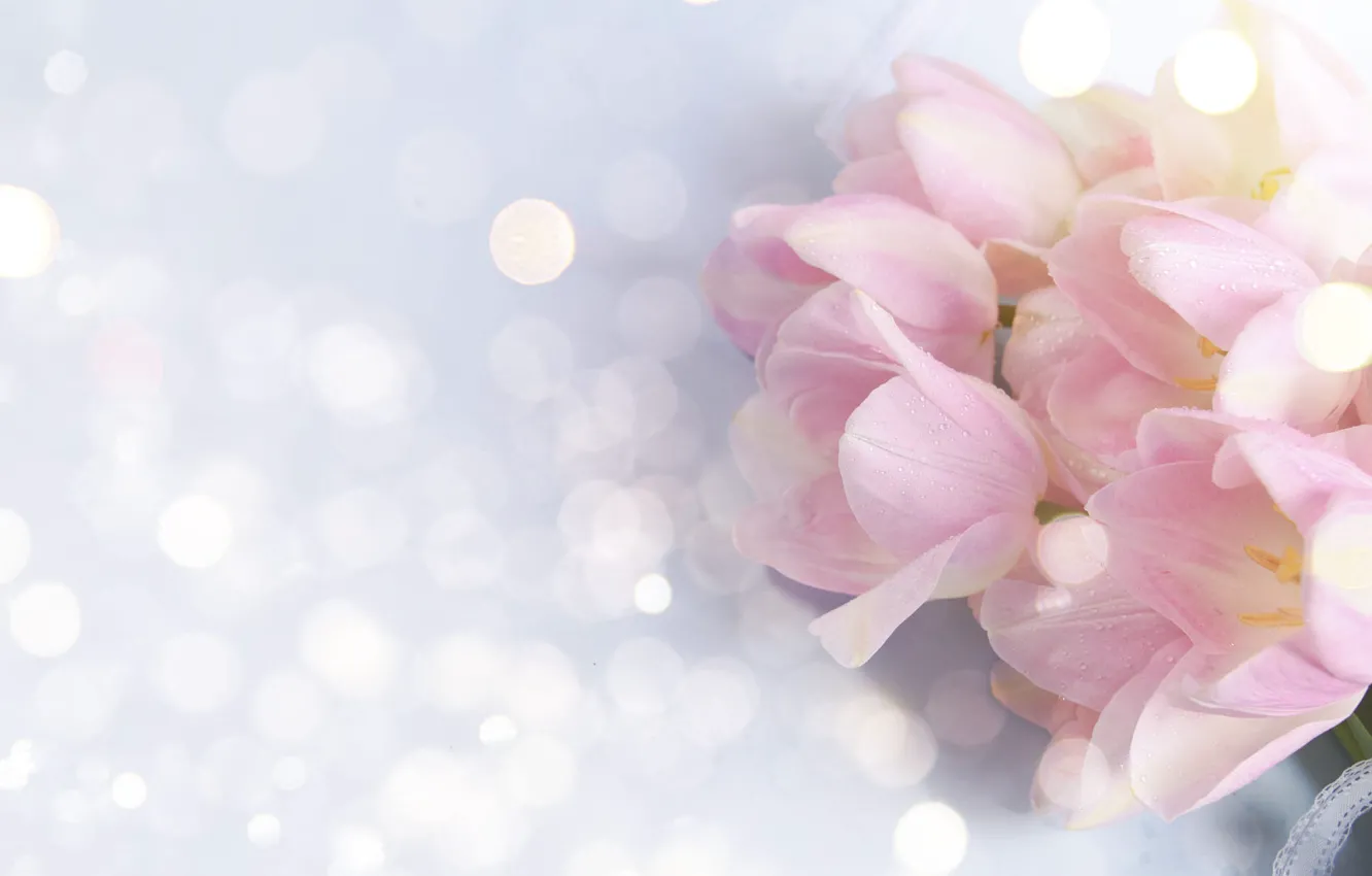 Фото обои капли, цветы, букет, тюльпаны, розовые, боке