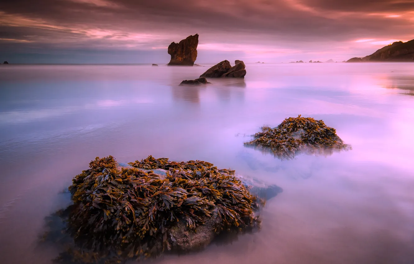 Фото обои море, пейзаж, закат, скалы