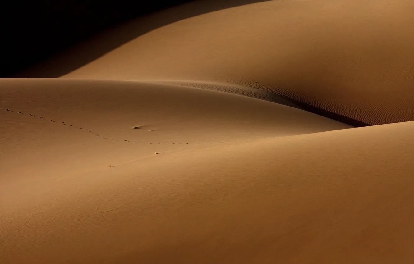 Фото обои песок, пустыня, Desert and the human torso