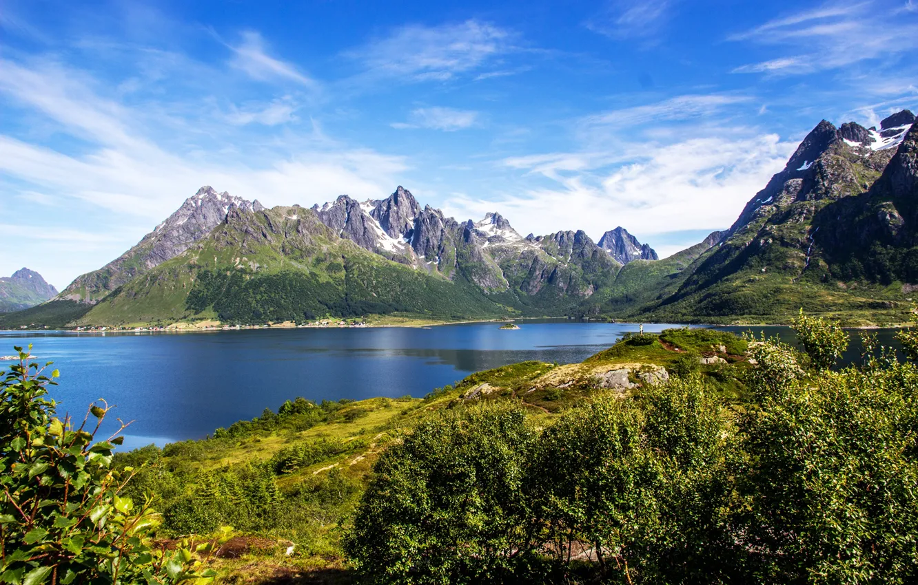 Фото обои зелень, небо, солнце, горы, скалы, Норвегия, залив, кусты