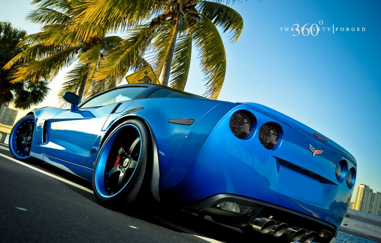 Фото обои машина, синий, пальма