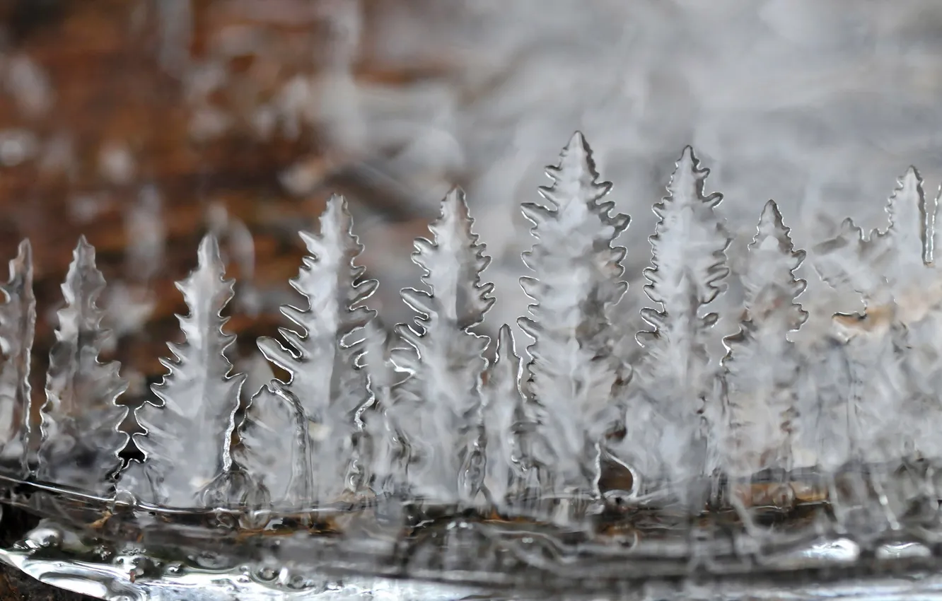 Фото обои природа, лёд, форма
