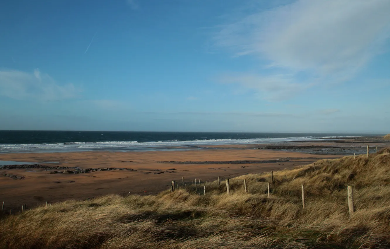 Фото обои море, пляж, трава, ветер