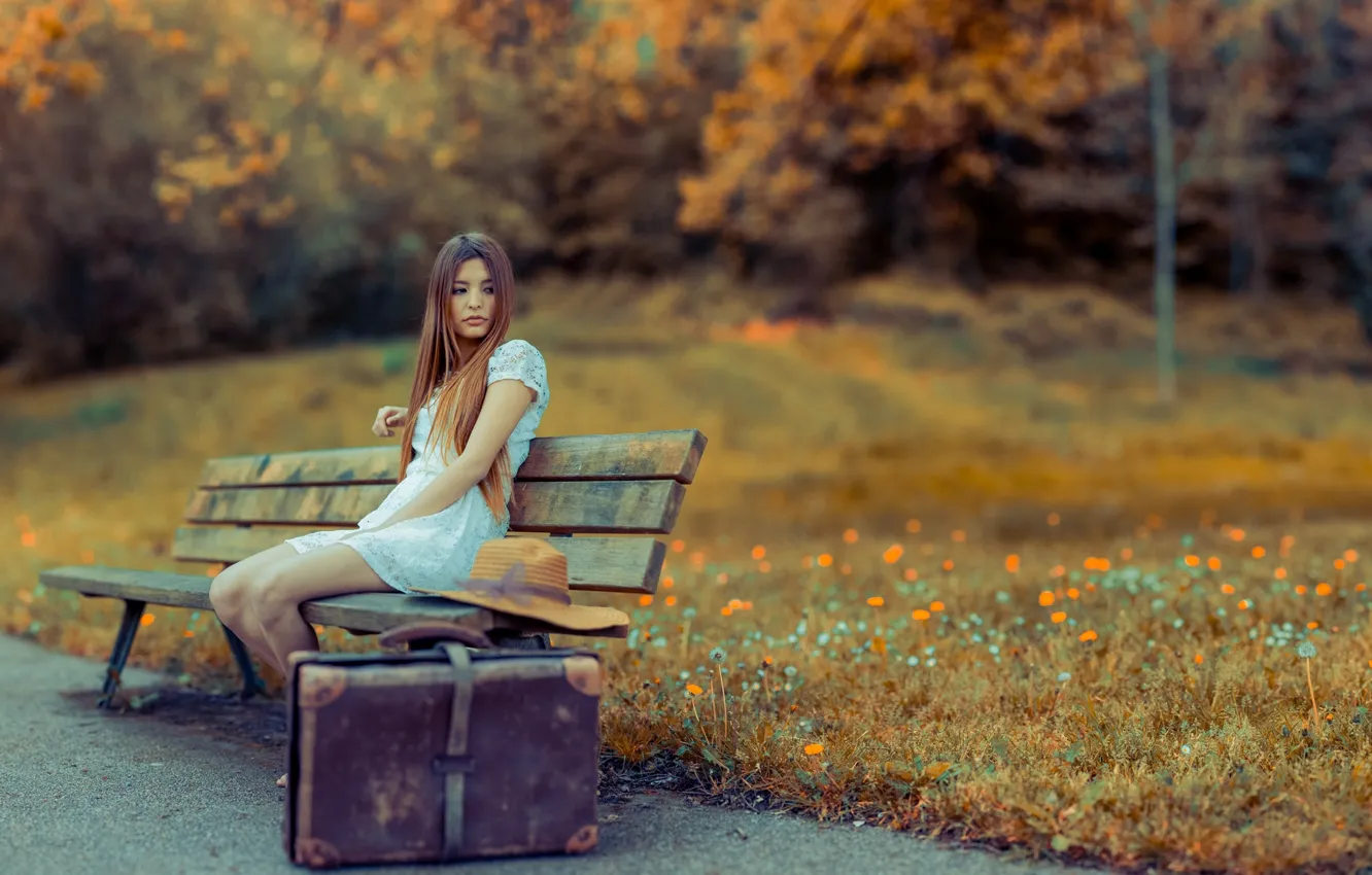 Фото обои девушка, улица, чемодан, скмья