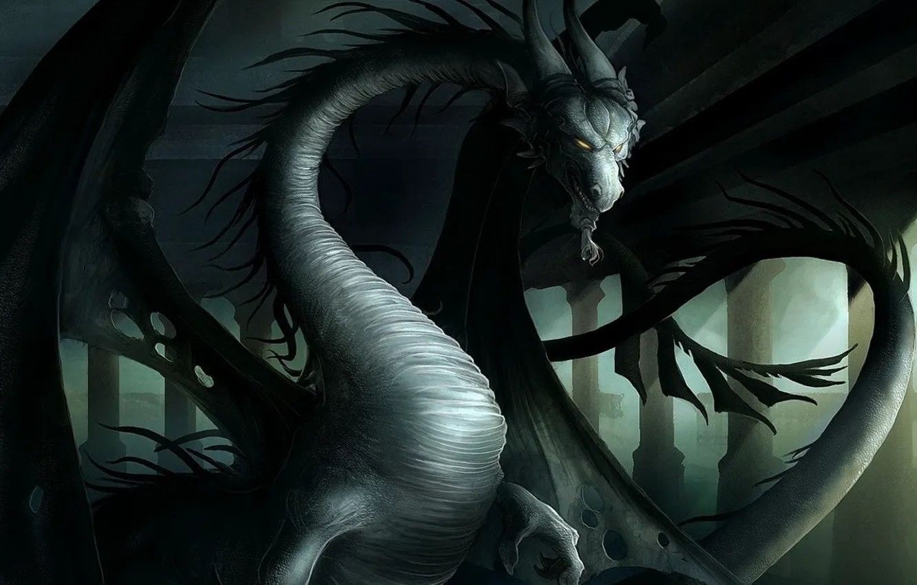 Фото обои мрак, дракон, крылья, злой