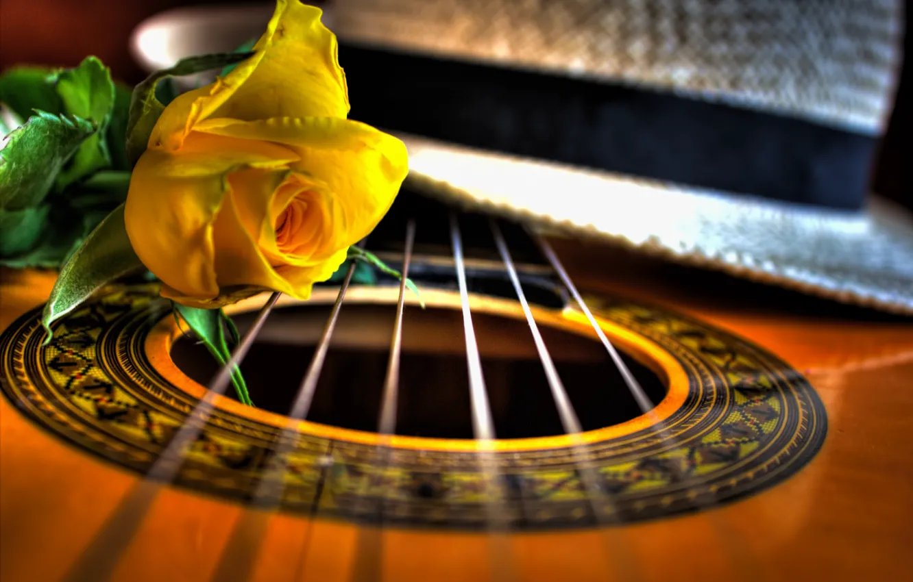 Фото обои макро, роза, гитара