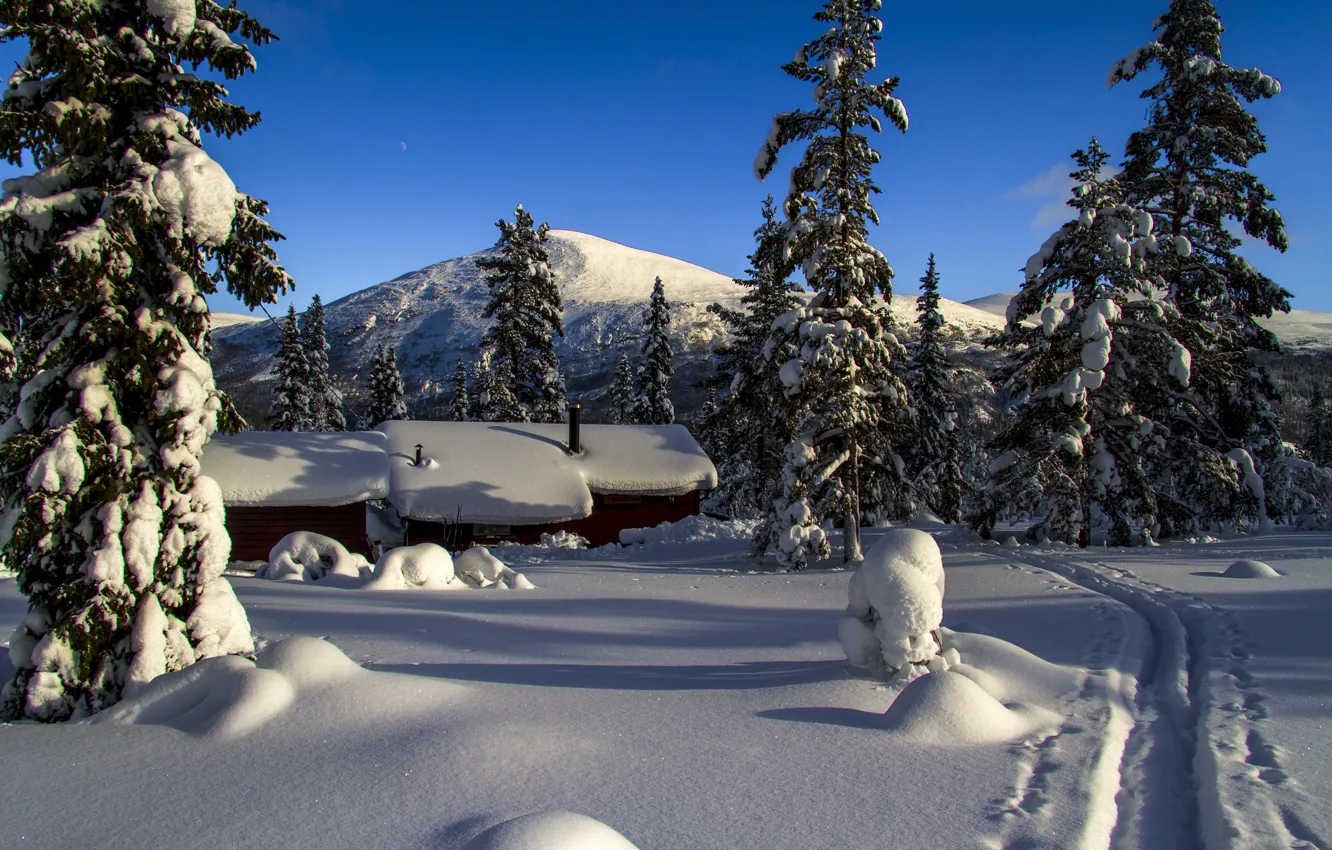 Фото обои зима, снег, деревья, пейзаж, горы, природа, дома, ели