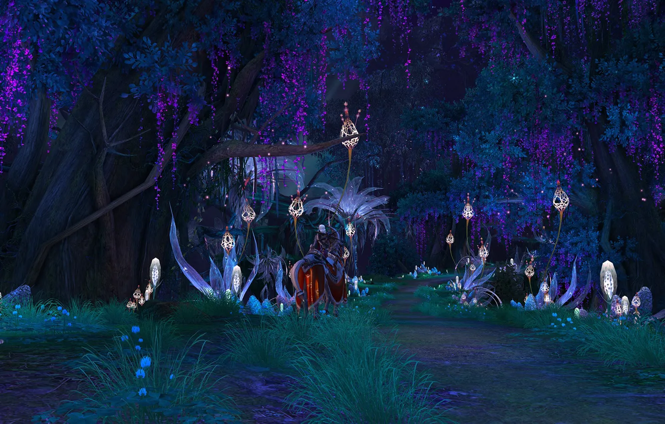 Фото обои лес, растение, тропа, tera