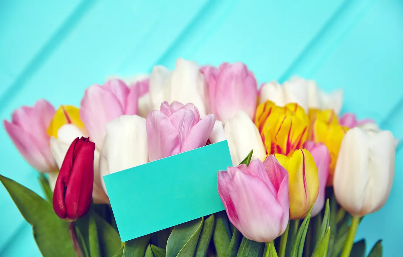 Фото обои цветы, букет, весна, colorful, тюльпаны, fresh, pink, flowers