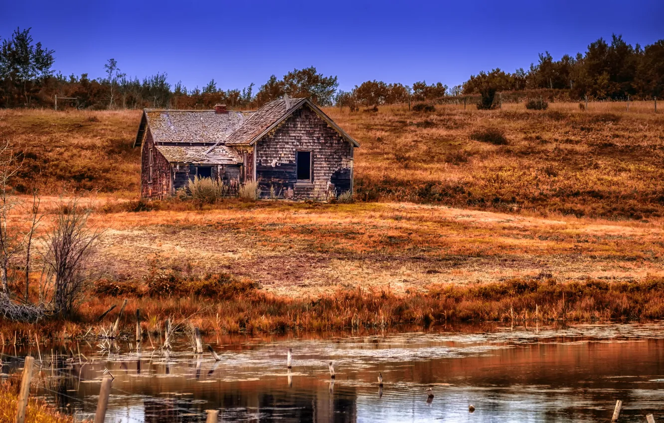 Фото обои осень, озеро, дом