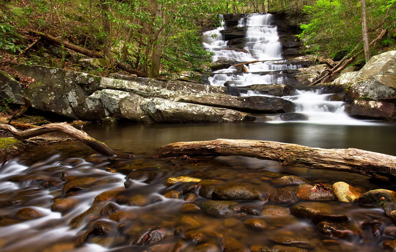 Фото обои лес, река, камни, водопад, Georgia, Chatsworth, Emery Creek Trail