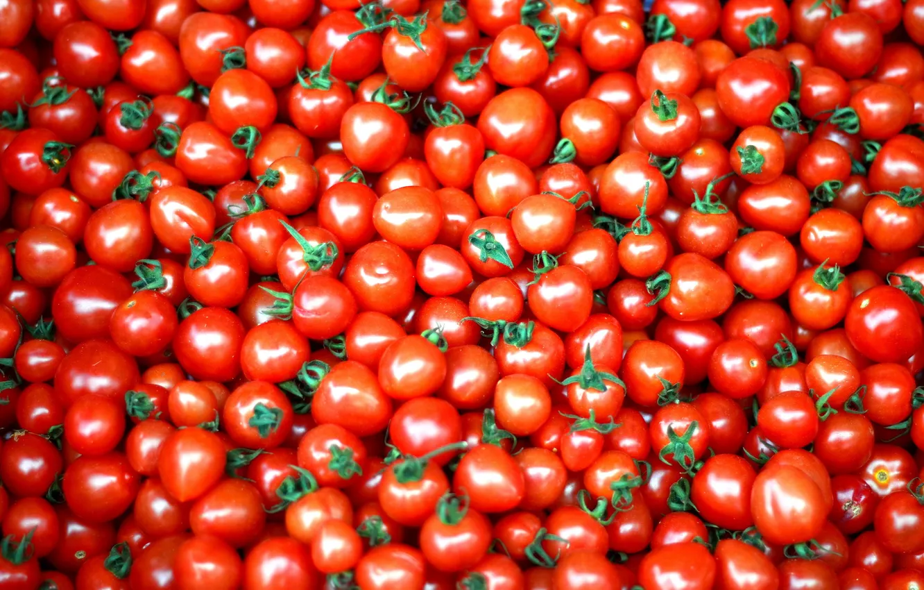 Фото обои красный, овощи, помидоры, томаты