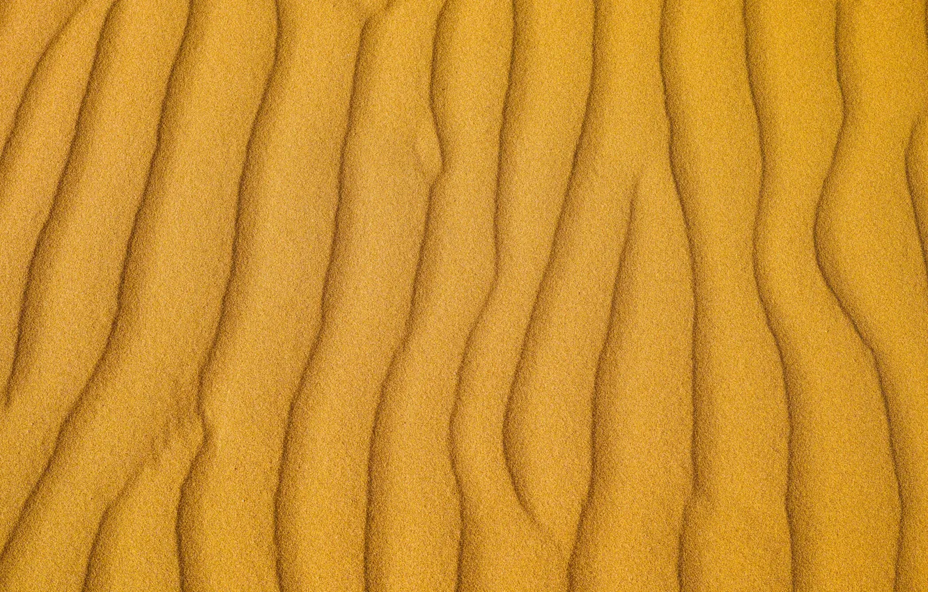 Фото обои песок, линии, пустыня, текстура