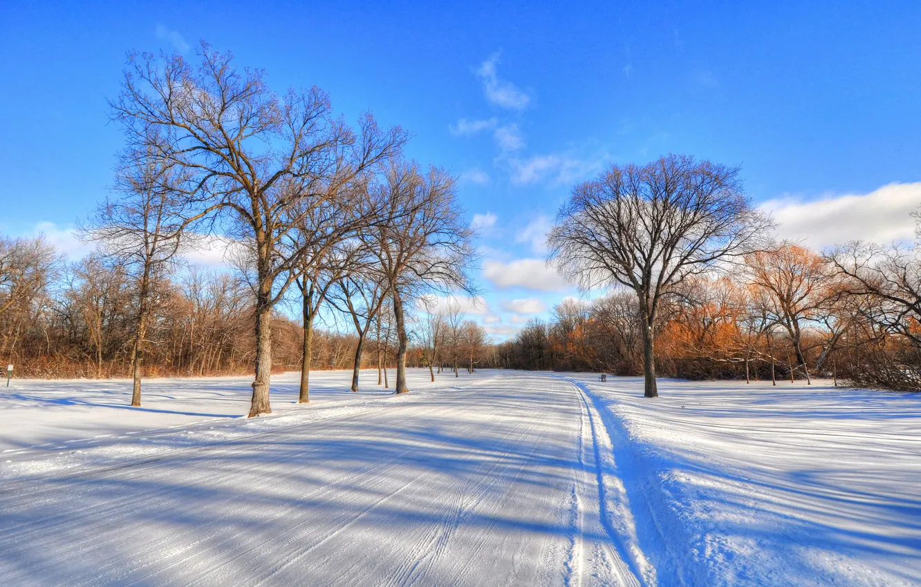Фото обои зима, дорога, небо, облака, снег, деревья, пейзаж, мороз