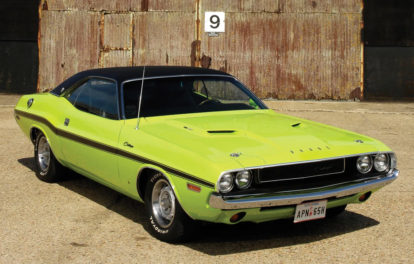 Фото обои машина, зеленый, Dodge, Challenger, классика, передок, R/T