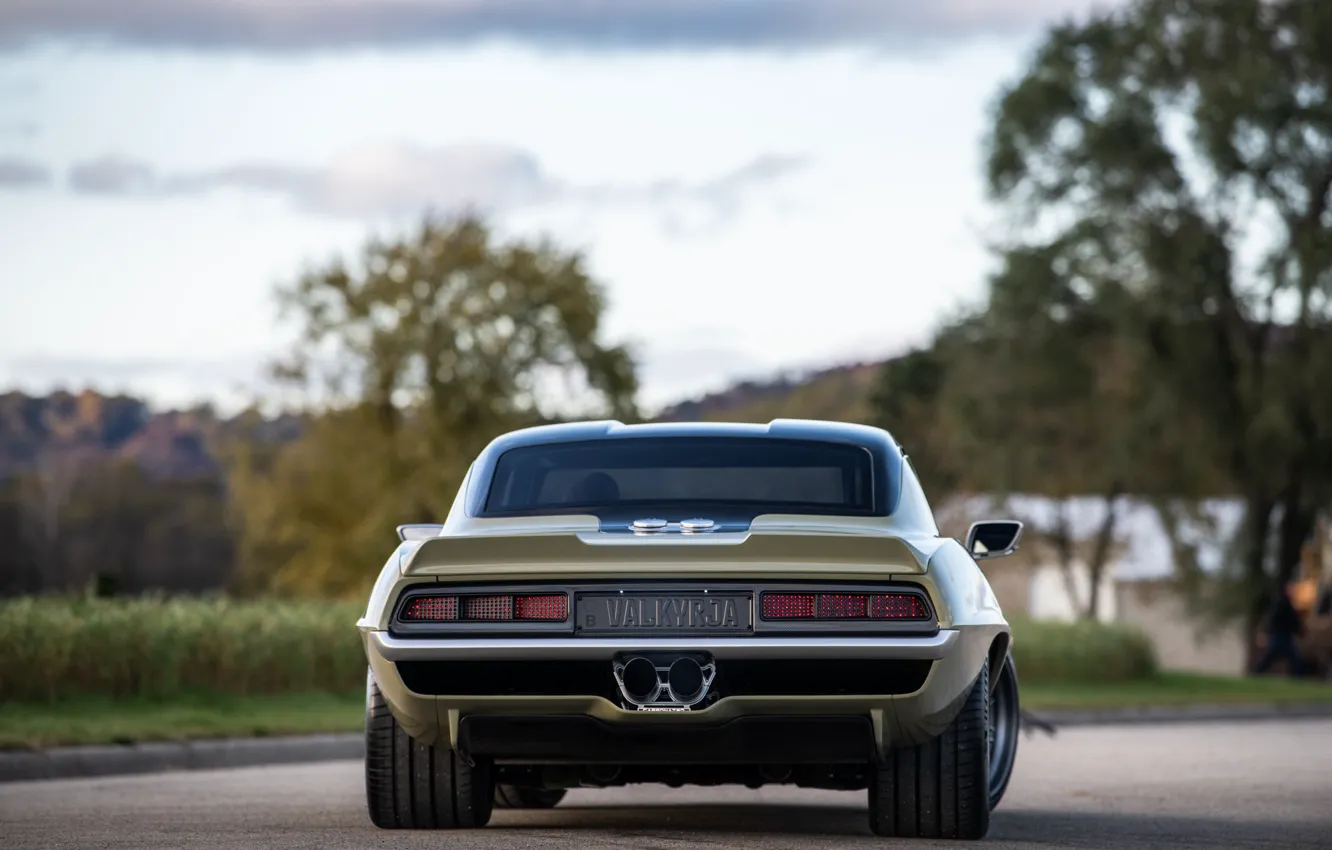 Фото обои Дерево, Дорога, Chevrolet, 1969, Camaro, Chevrolet Camaro, Muscle car, Classic car