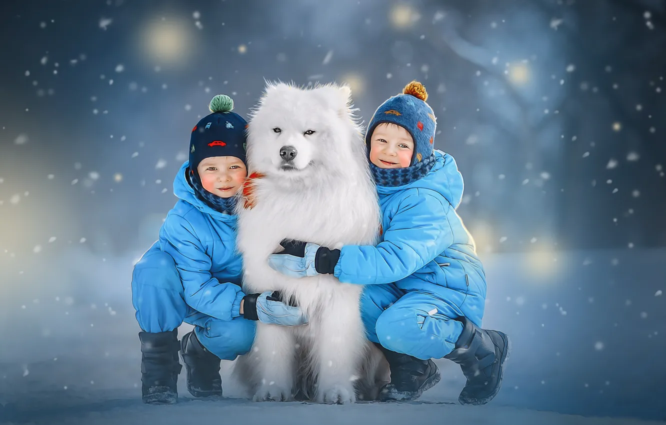 Фото обои зима, снег, дети, животное, собака, пёс, самоед, Ксения Лысенкова