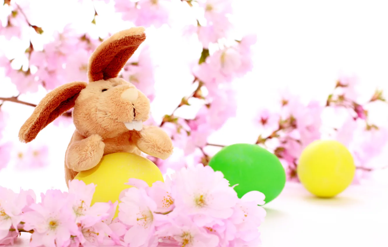 Фото обои праздник, кролик, пасха, разноцветные яички, цветы вишни