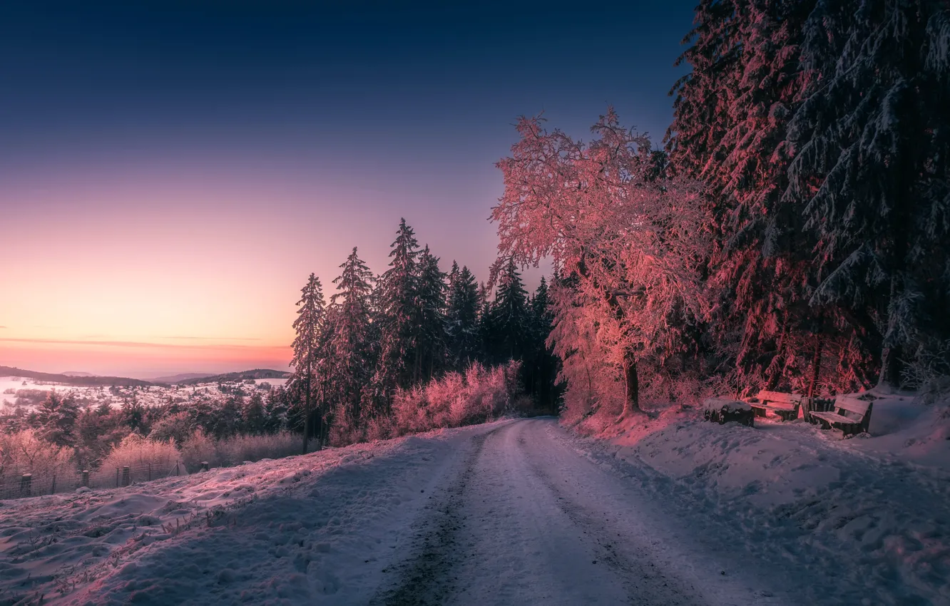 Фото обои зима, лес, снег, закат, скамья