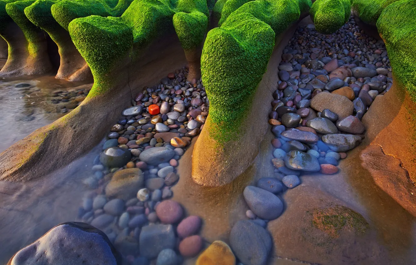 Фото обои море, берег, камни. водоросли