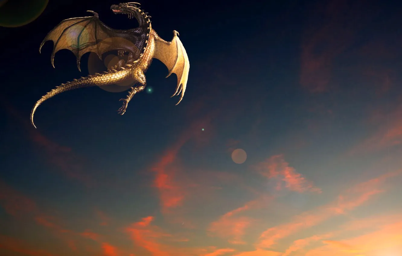 Фото обои закат, фентези, дракон, полёт