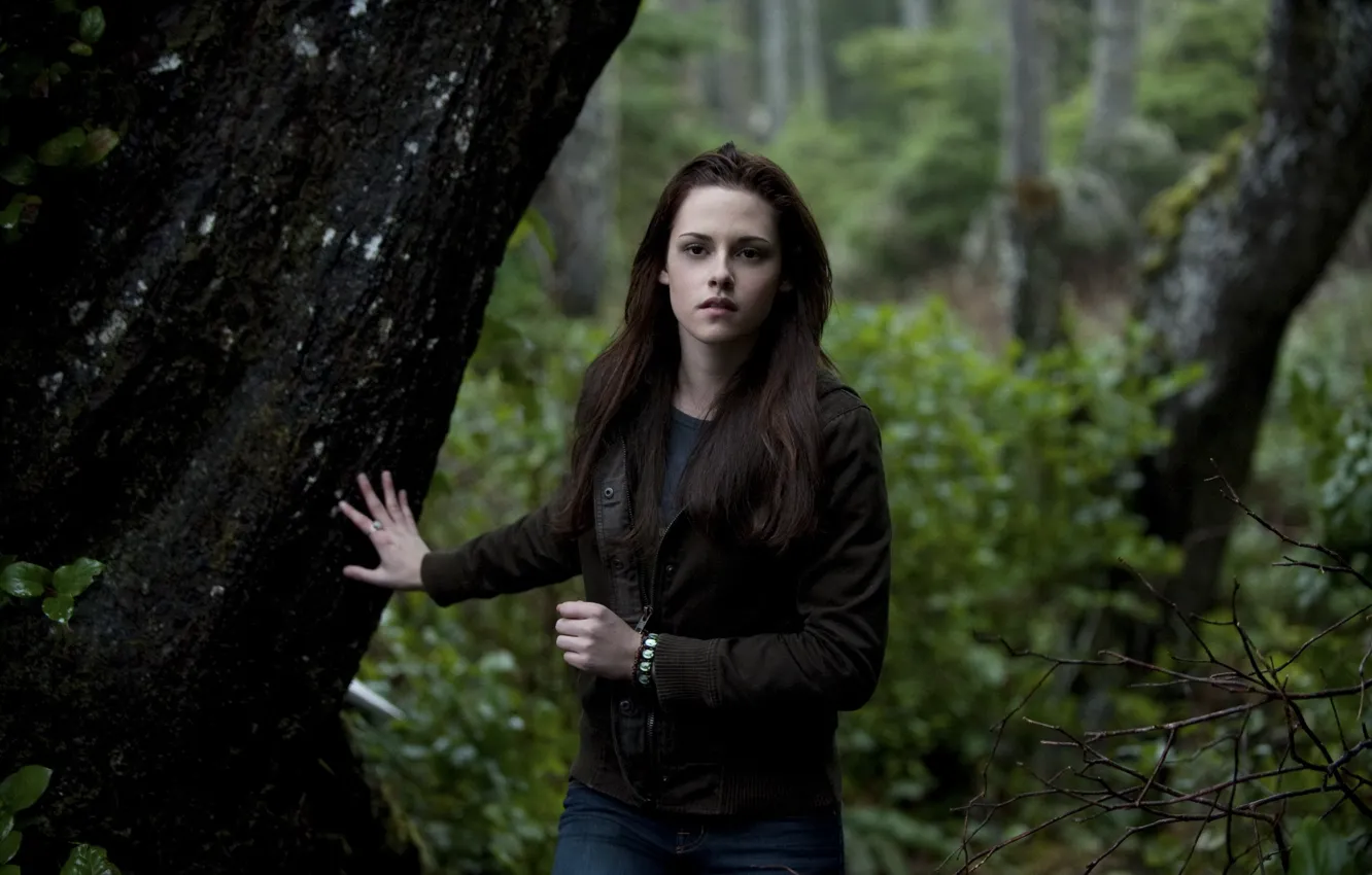 Фото обои лес, кино, актриса, Kristen Stewart, сумерки