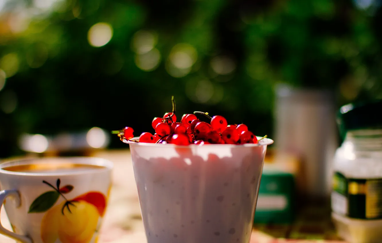 Фото обои лето, отдых, чай, ягода, смородина