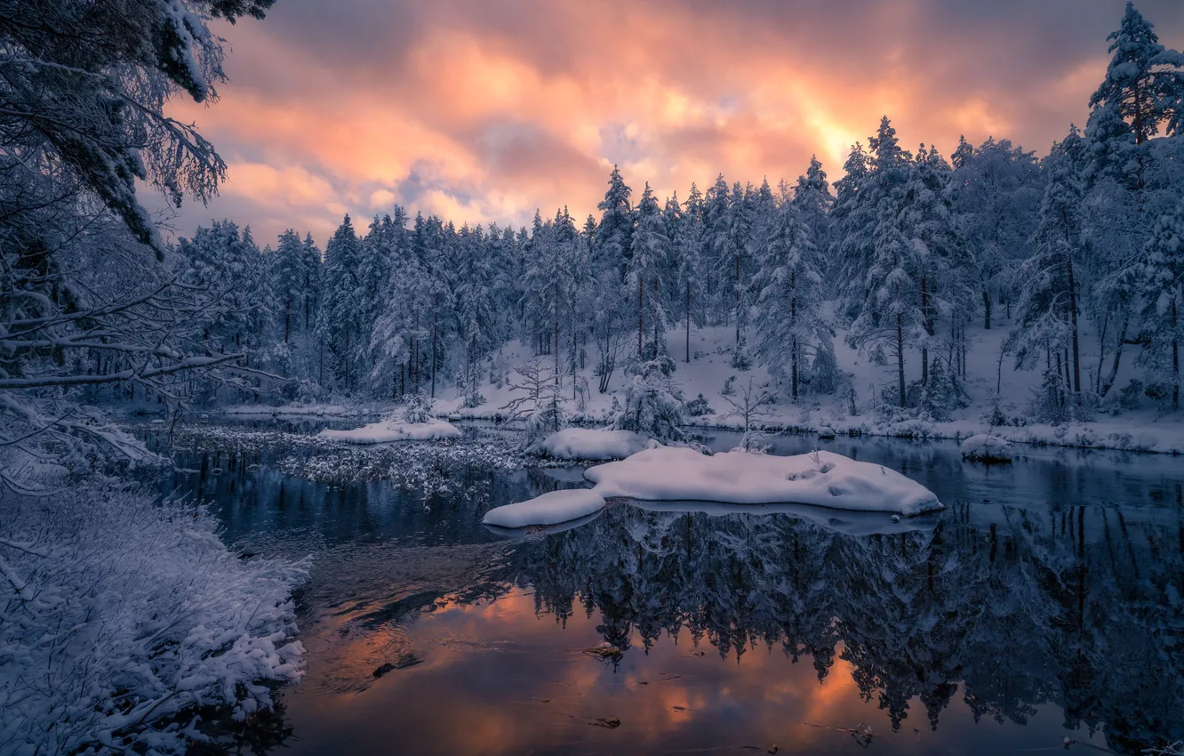 Фото обои зима, лес, снег, деревья, закат, отражение, река, Норвегия