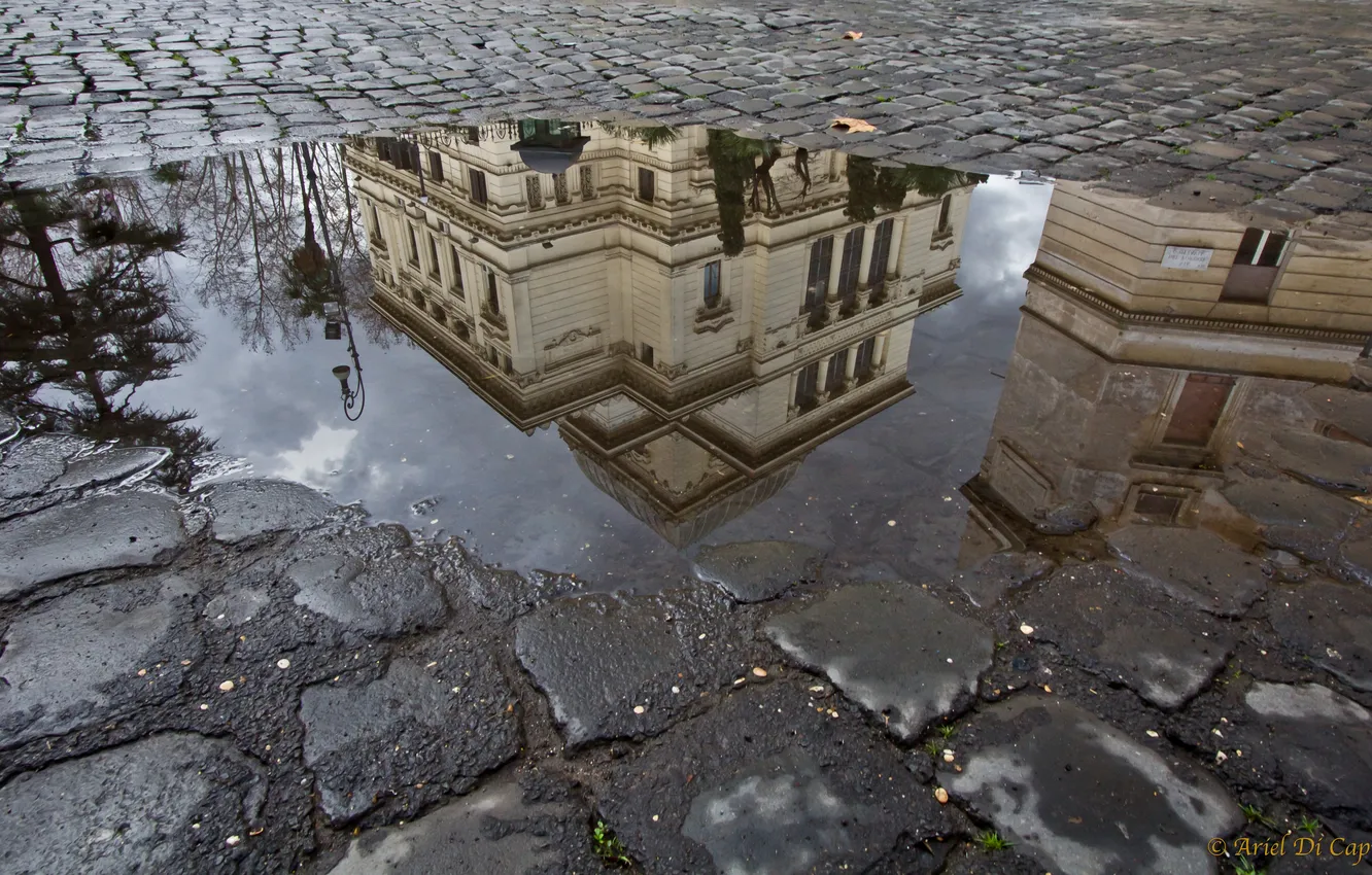 Фото обои асфальт, вода, город, отражение, здание, лужа, фонарь