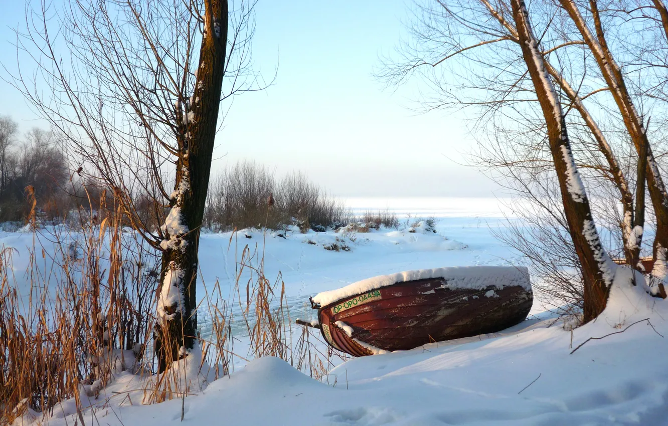 Фото обои зима, небо, снег, деревья, лодка