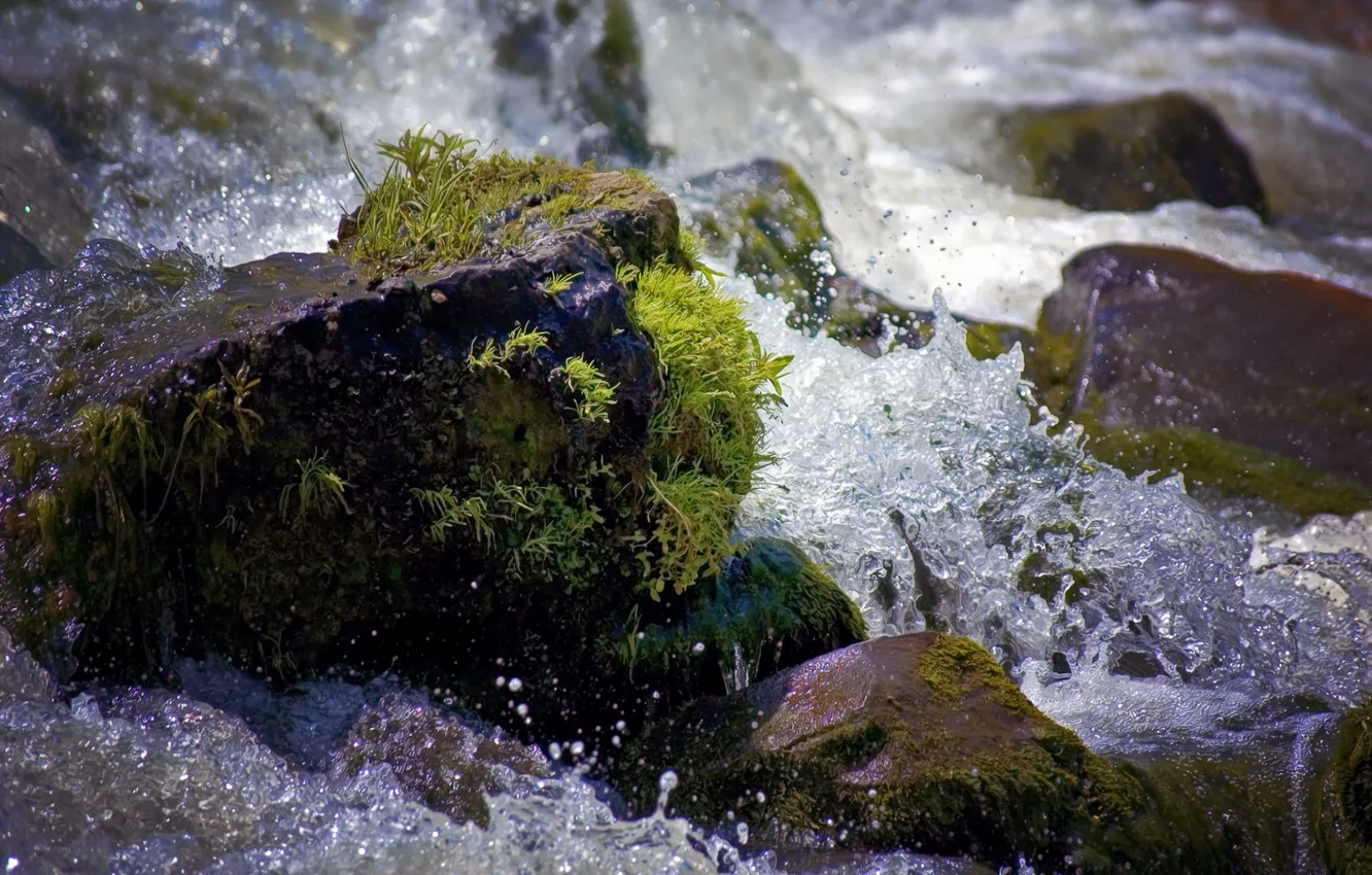 Фото обои вода, капли, пейзаж, брызги, природа, камни, мох