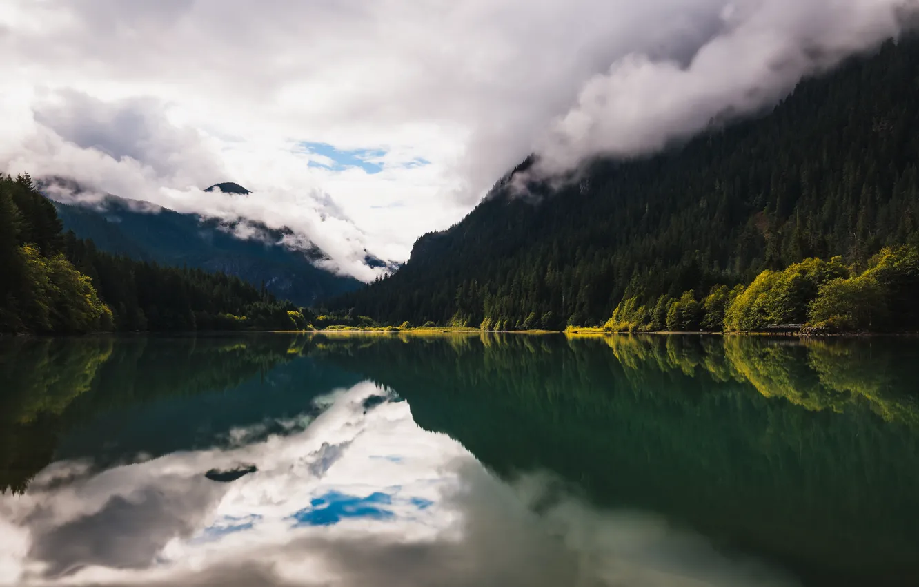 Фото обои лес, лето, небо, облака, горы, туман, озеро, отражение
