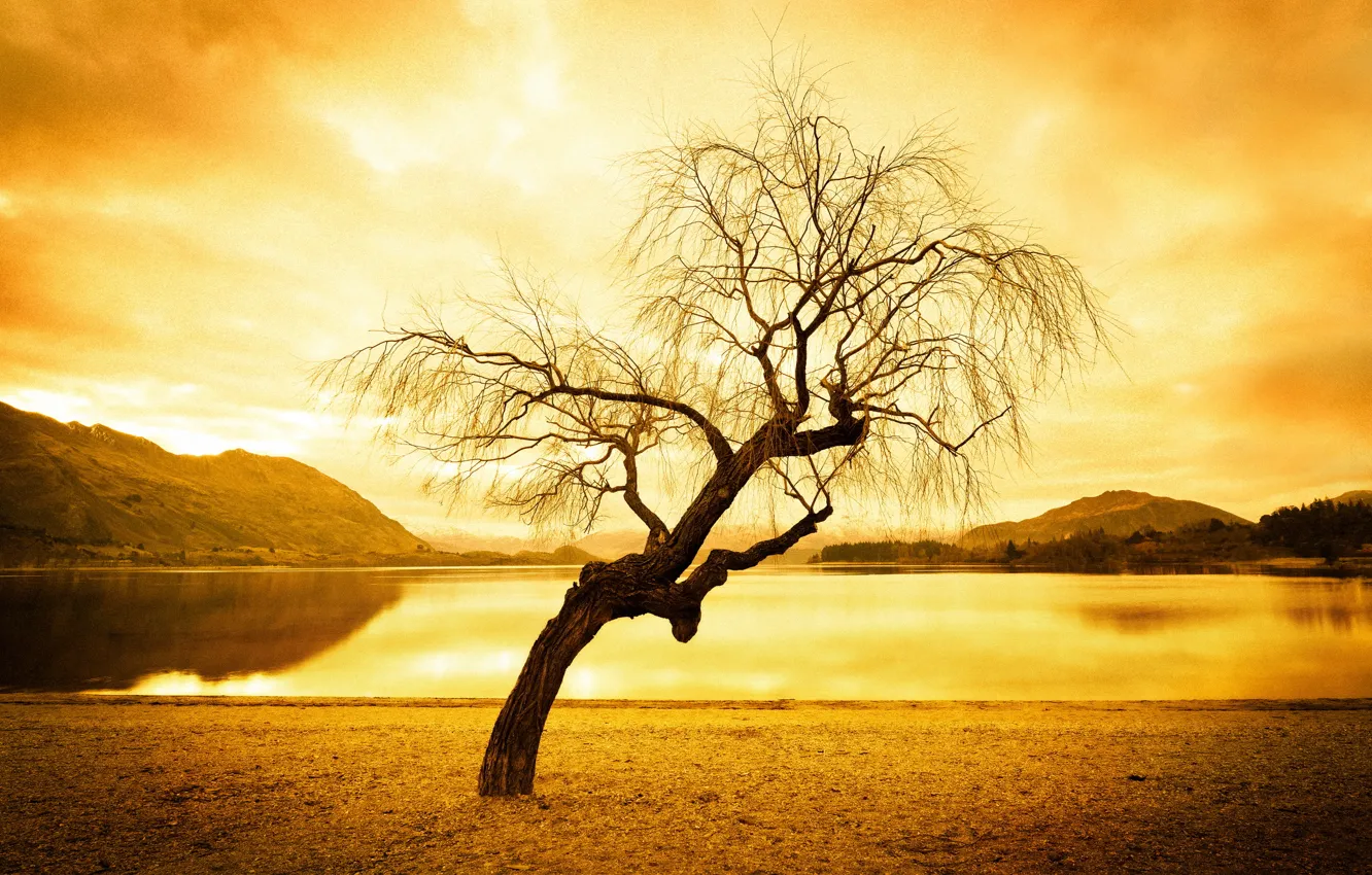 Фото обои пейзаж, озеро, стиль, дерево