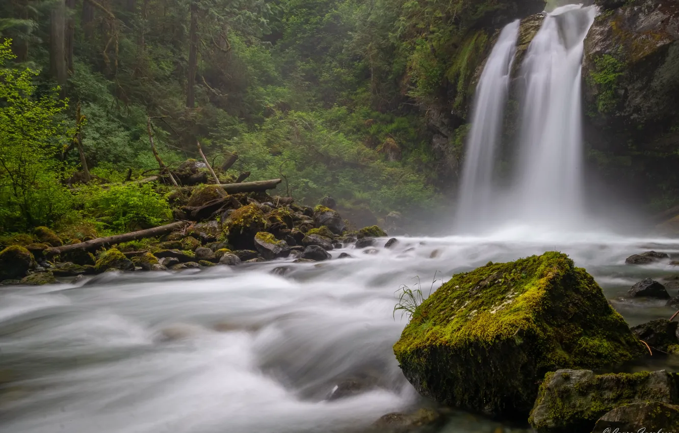 Фото обои лес, река, камни, водопад, мох, штат Вашингтон, Washington State, North Cascades National Park