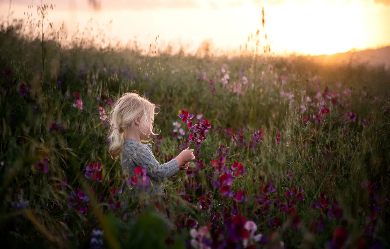 Фото обои поле, цветы, природа, настроение, утро, девочка