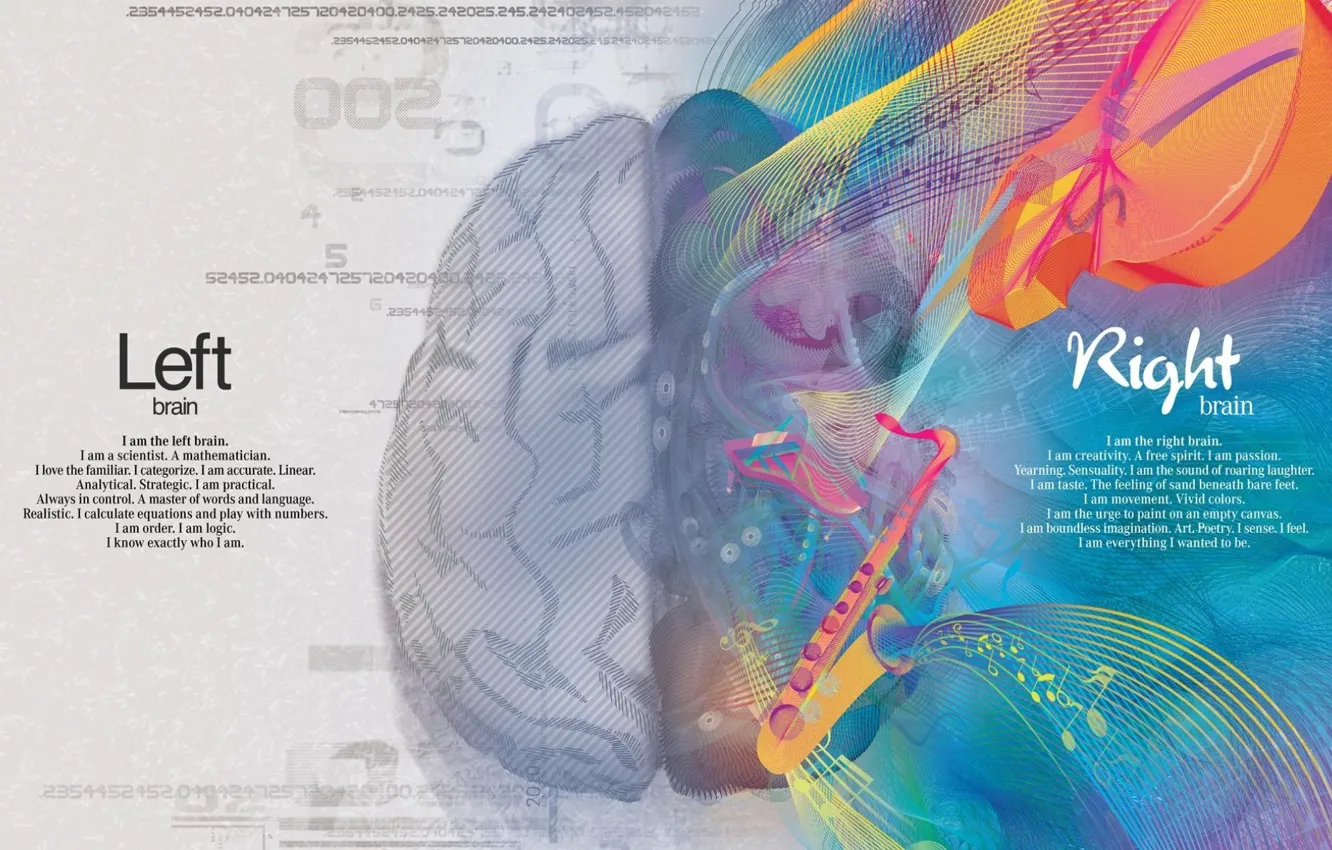 Фото обои креатив, краски, наука, мозг, творчество, искусство, полушария, математика