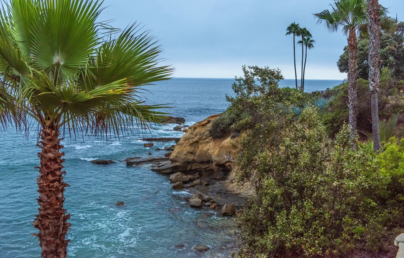 Фото обои море, небо, камни, пальмы, побережье, горизонт, Калифорния, США