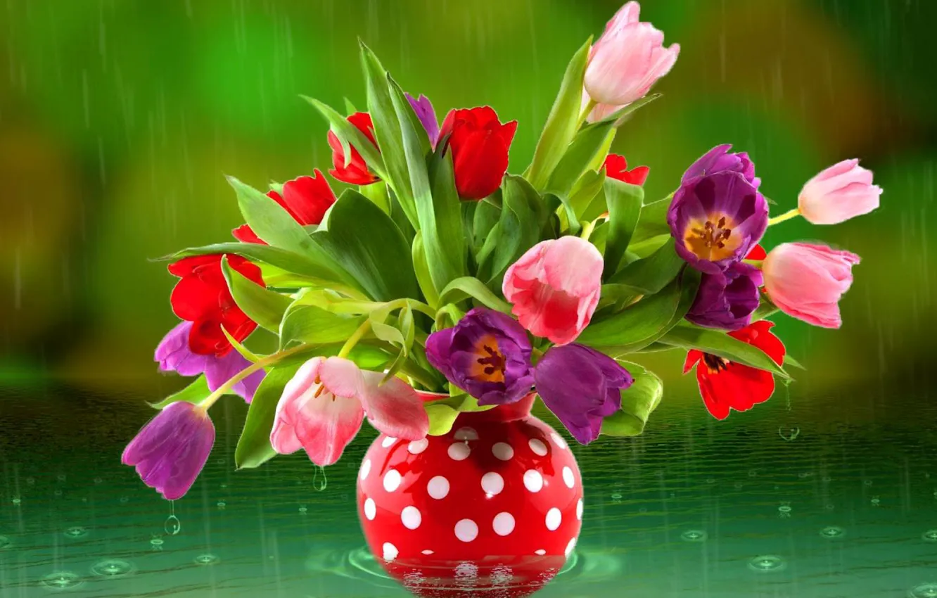 Фото обои вода, капли, дождь, букет, тюльпаны, ваза