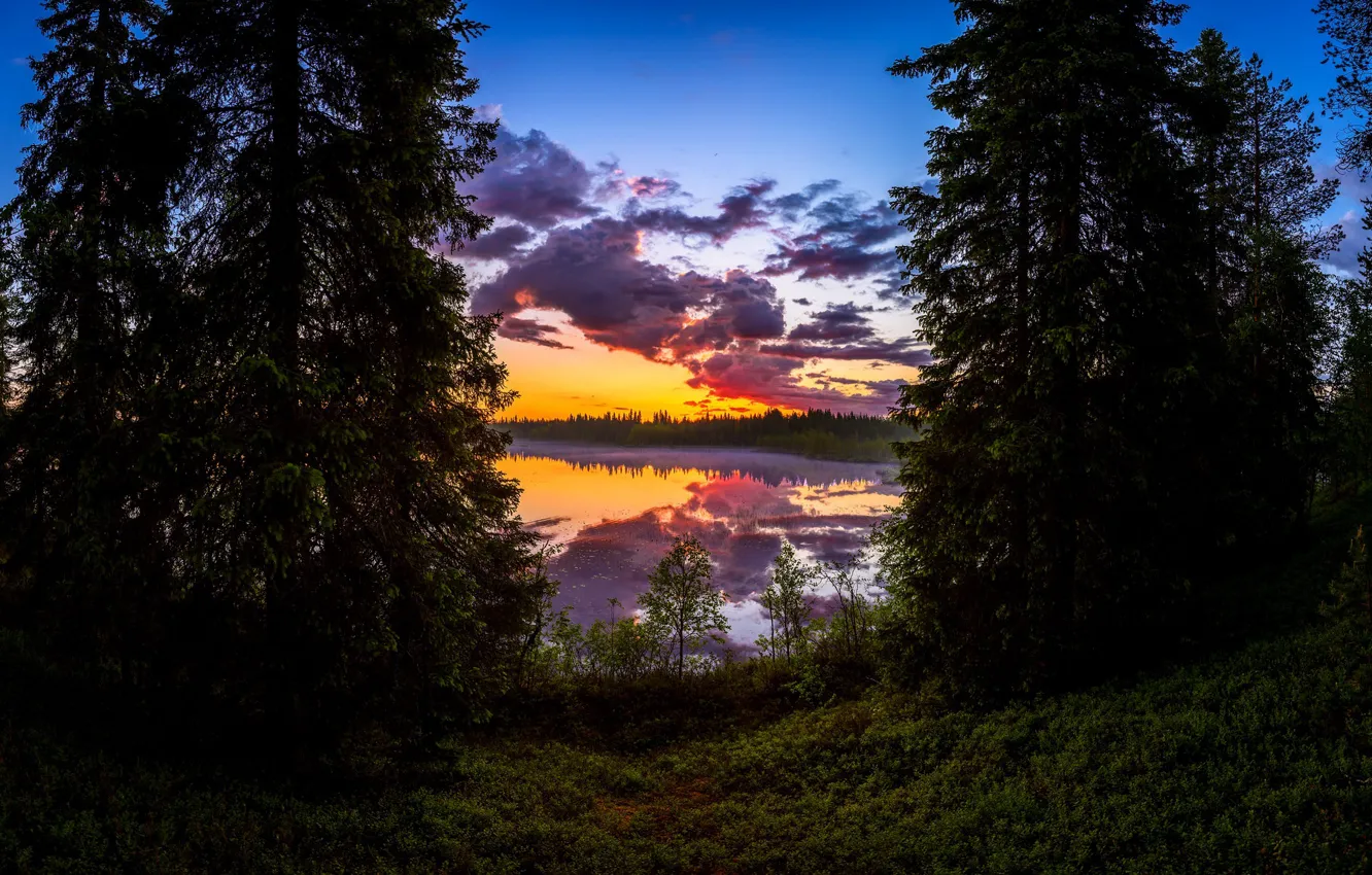 Фото обои лес, закат, озеро