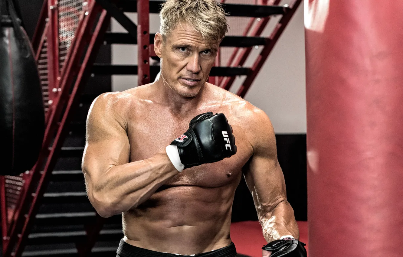 Фото обои бокс, актер, перчатки, груша, боец, fighter, actor, режиссер