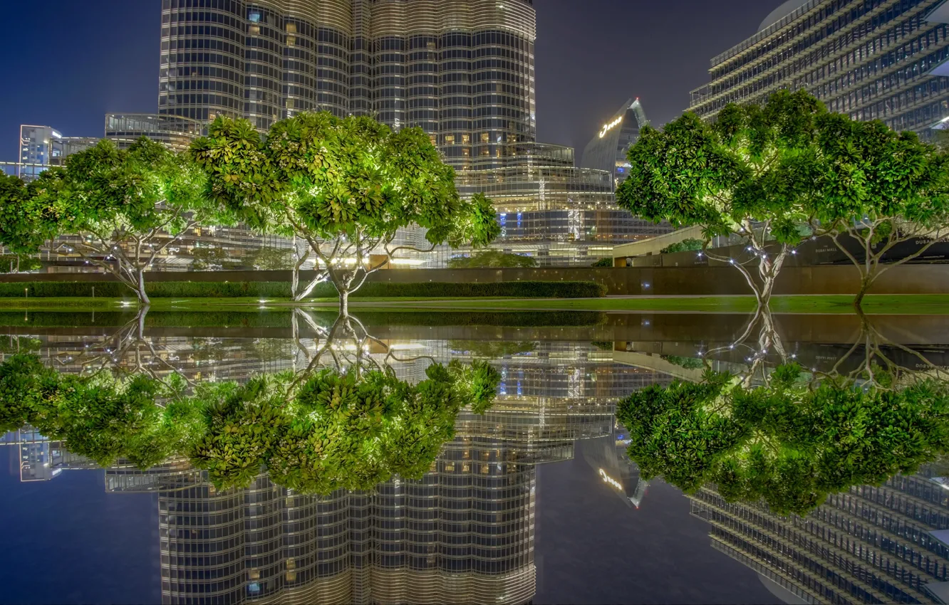 Фото обои деревья, отражение, дома, бассейн, Дубай, ОАЭ
