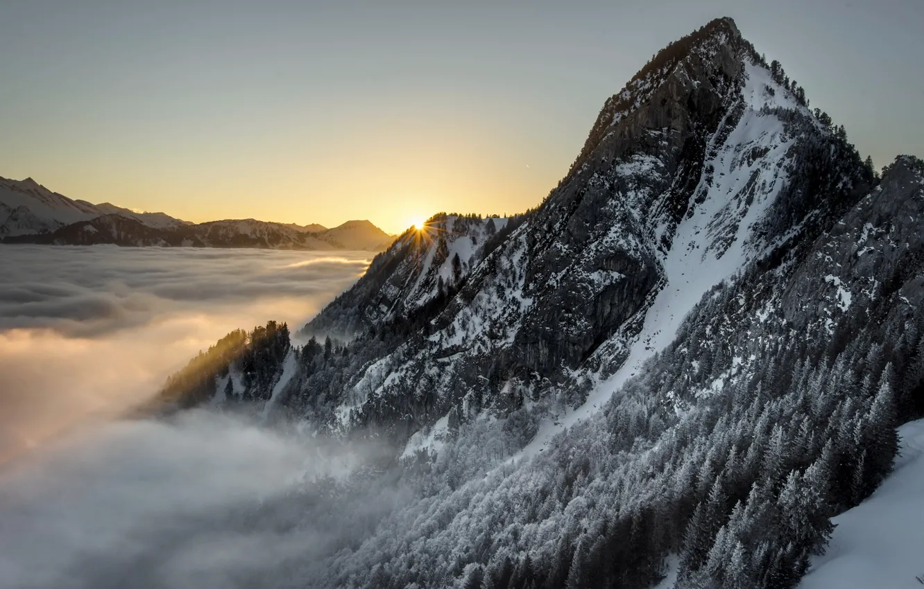 Фото обои горы, туман, утро