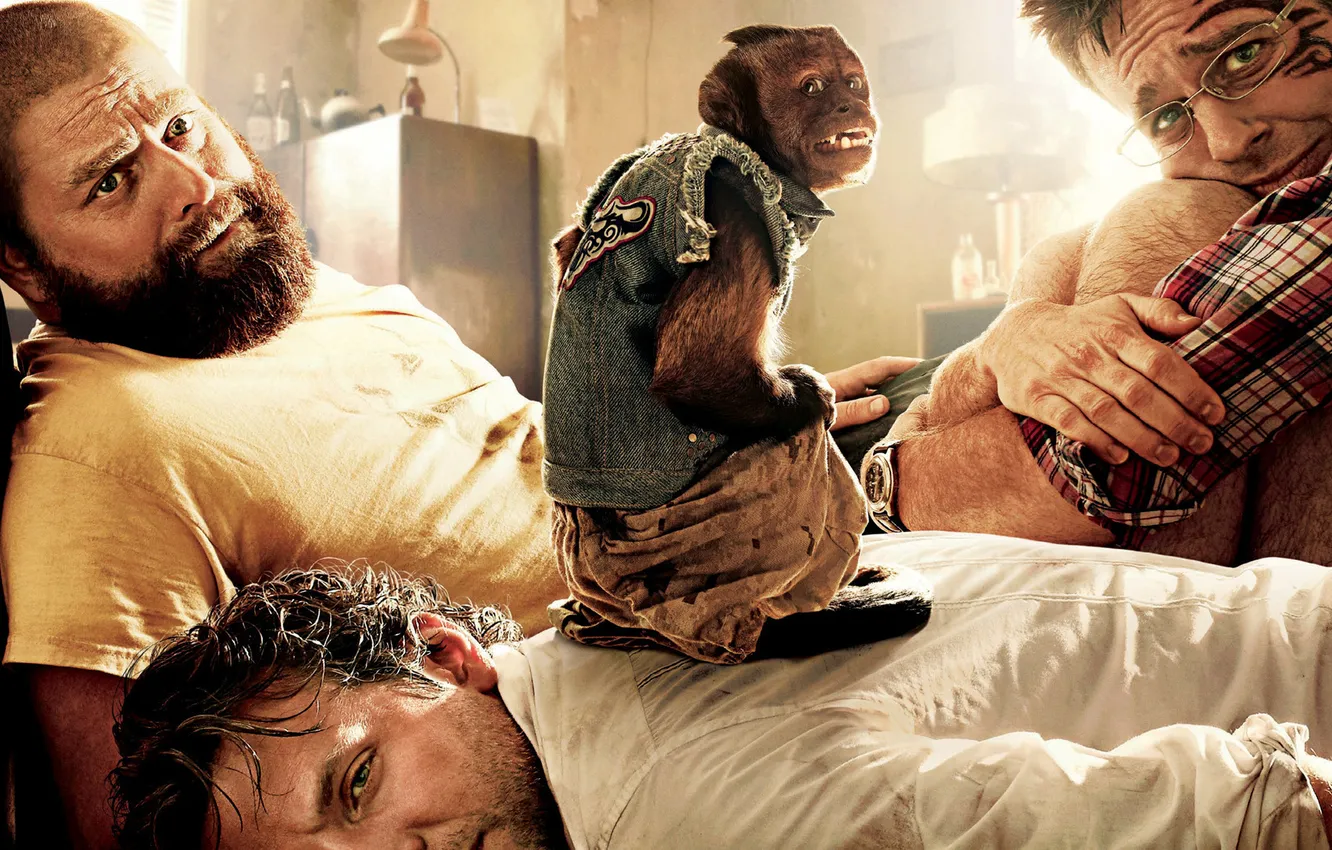 Фото обои Мальчишник, обезьянка, вегас, комедия