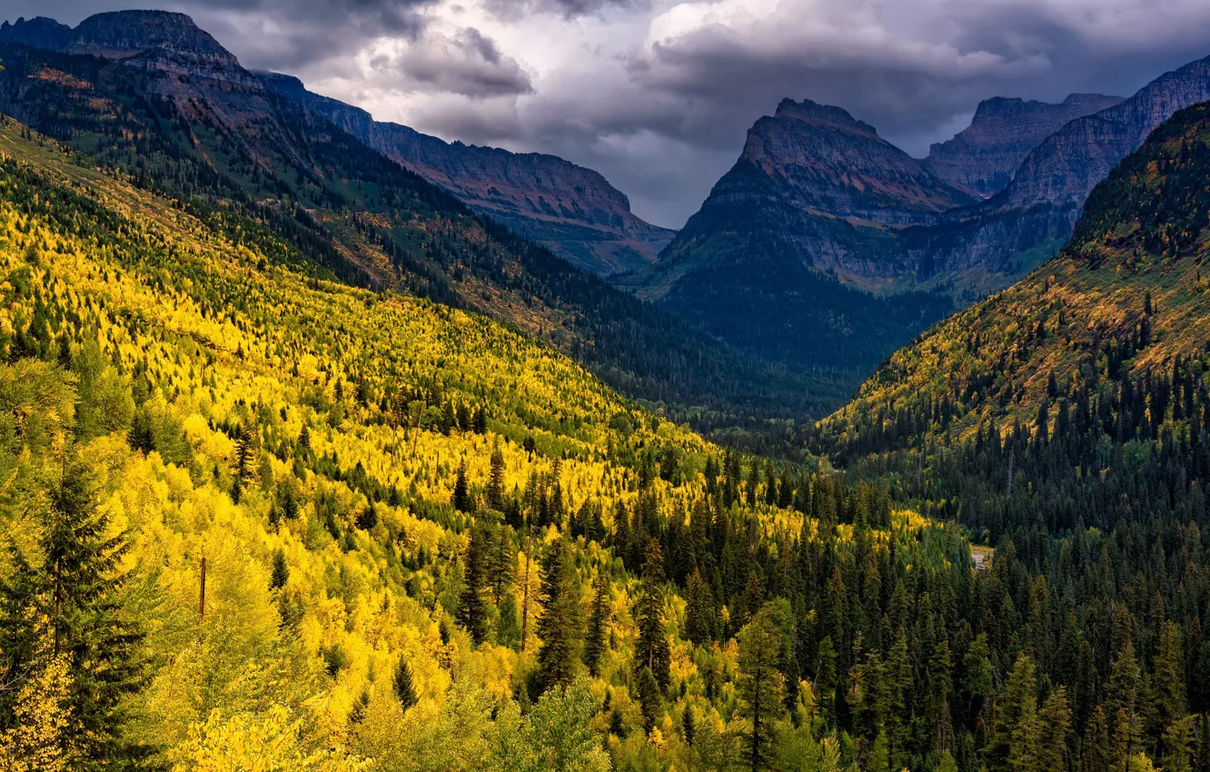 Фото обои осень, лес, горы, склоны