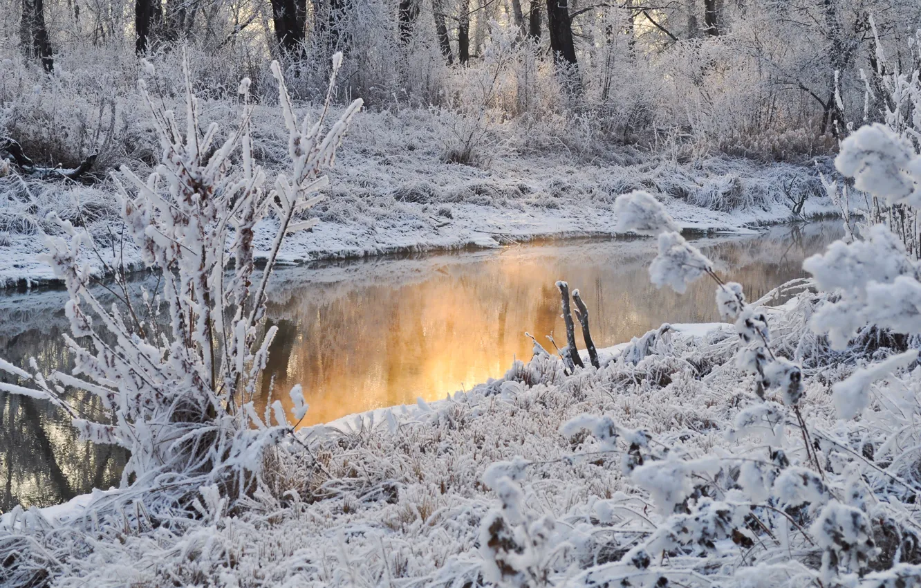 Фото обои вода, снег, деревья, отражение, Зима