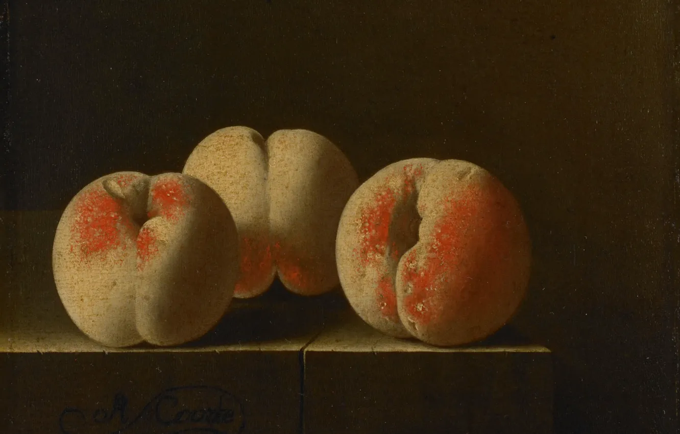 Фото обои картина, фрукты, натюрморт, Адриан Коорт, Три Персика на Каменном Постаменте