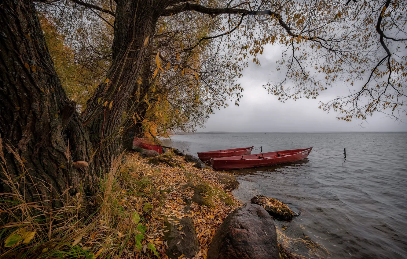 Фото обои осень, деревья, пейзаж, природа, озеро, камни, листва, лодки