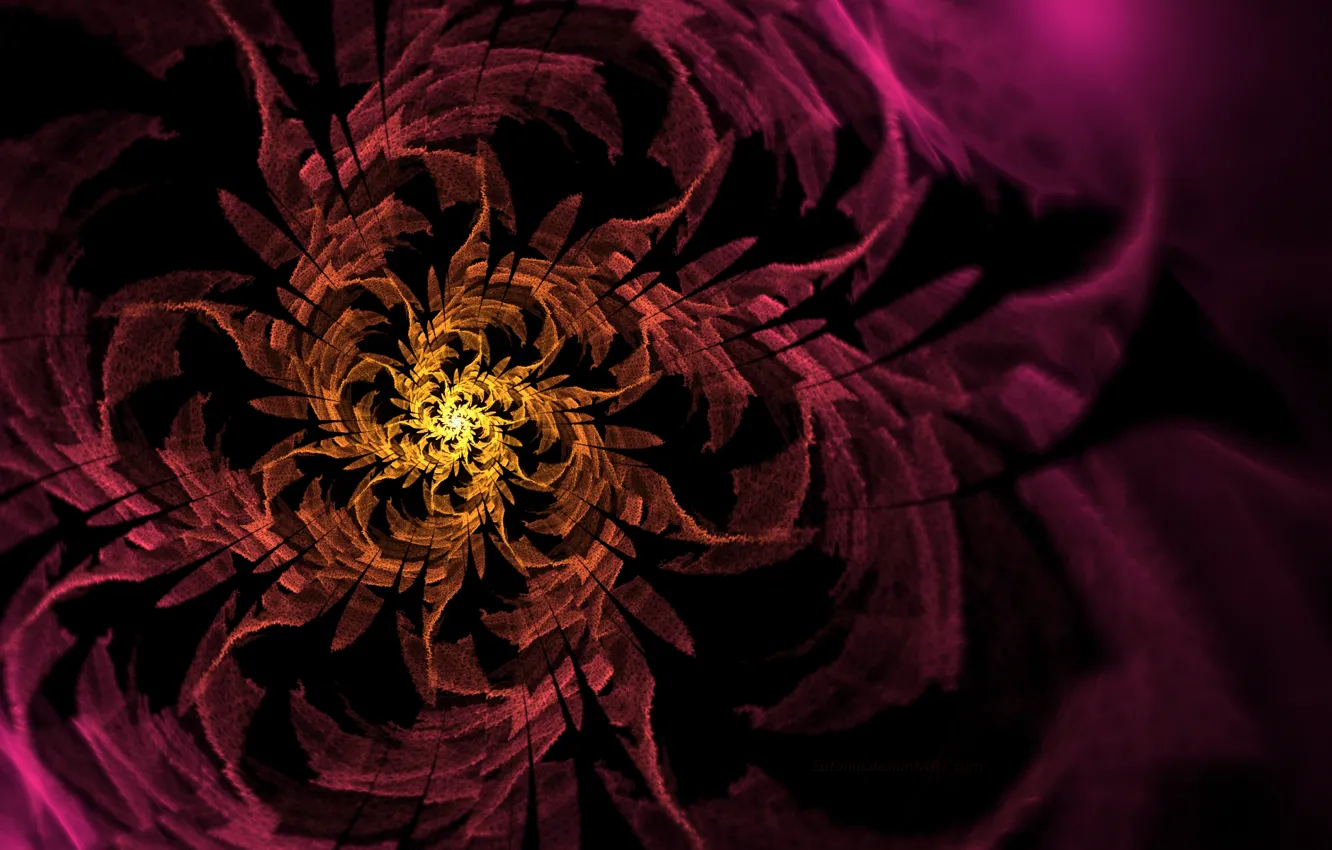 Фото обои цветок, желтый, розовый, узор, спираль, арт