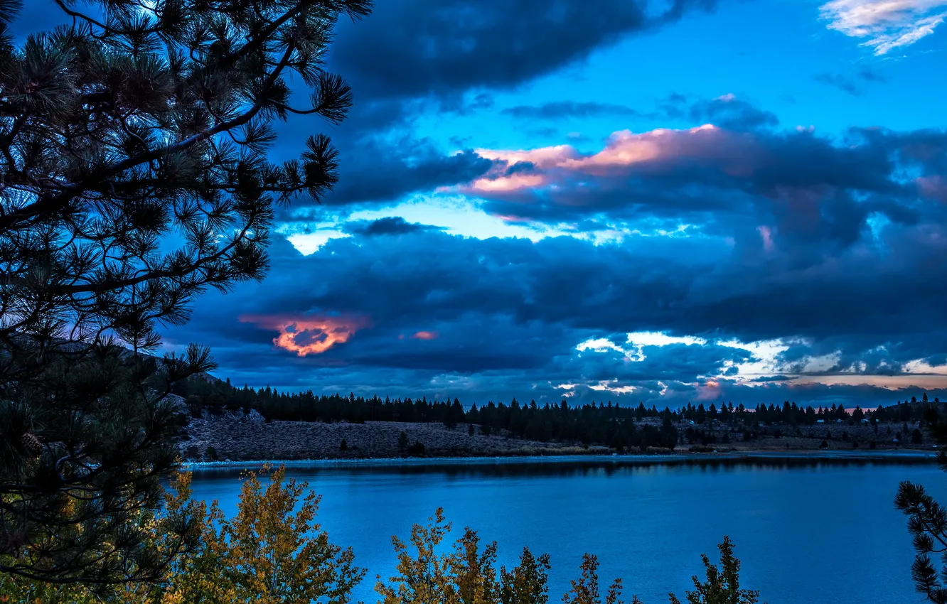 Фото обои осень, деревья, река, вечер, Калифорния, США, June Lake