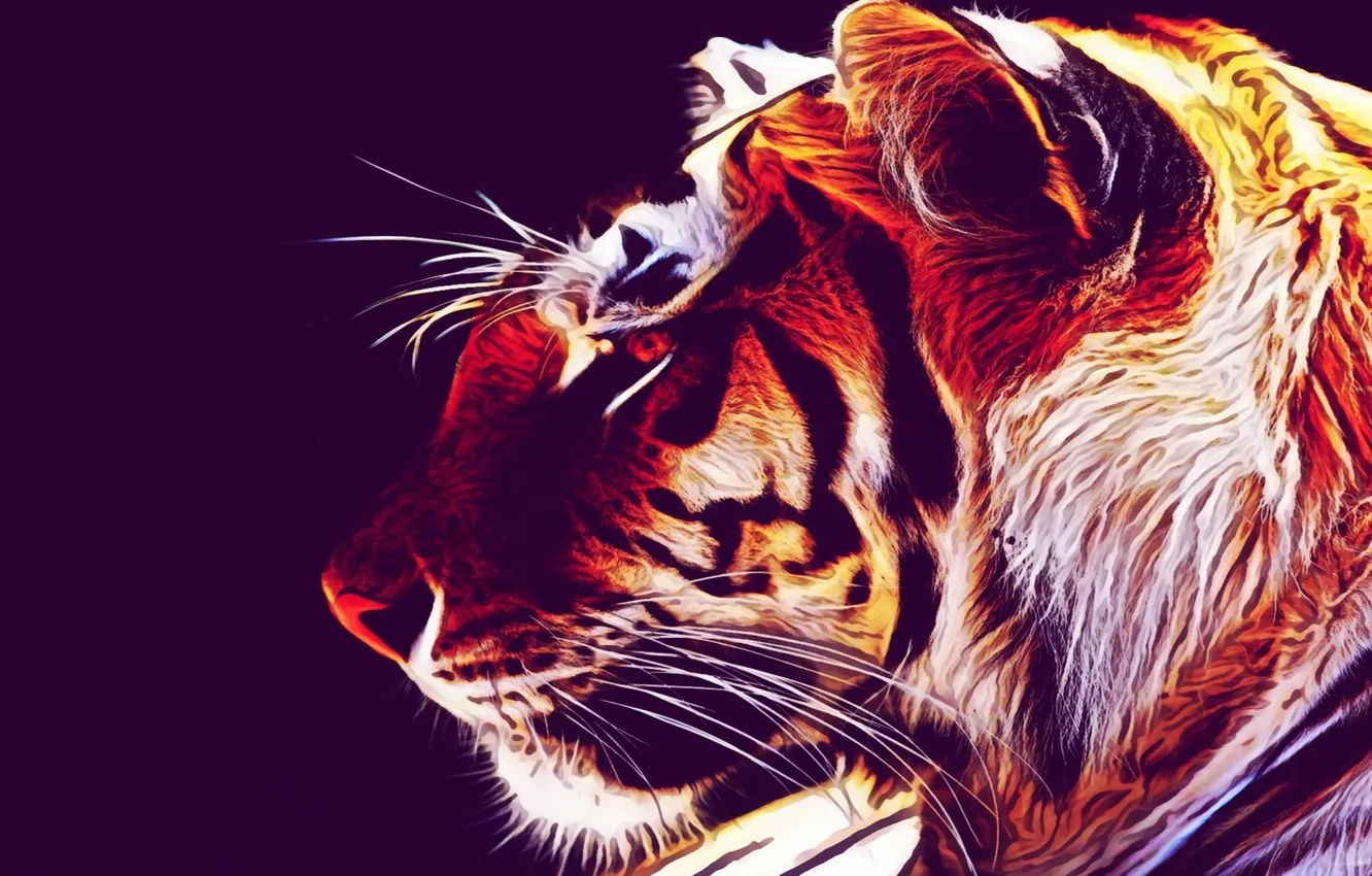 Фото обои тигр, стиль, фон, обои, ubuntu